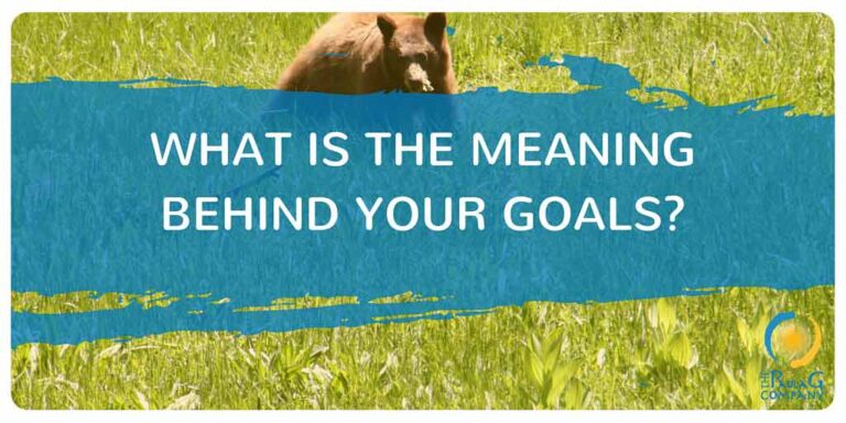 What is the meaning behind your goals?