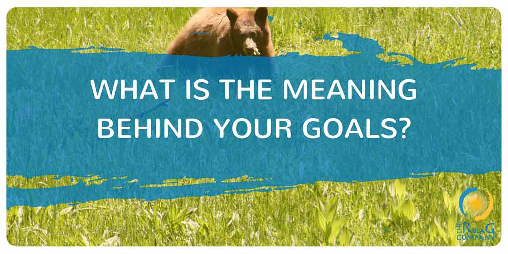 What is the meaning behind your goals?
