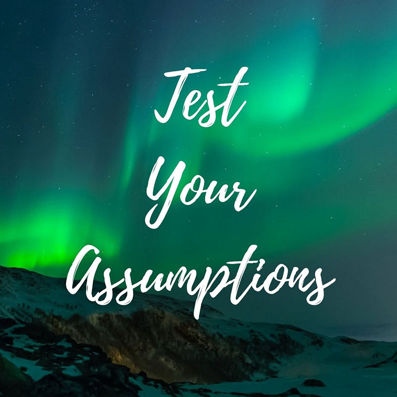 Test Your Assumptions