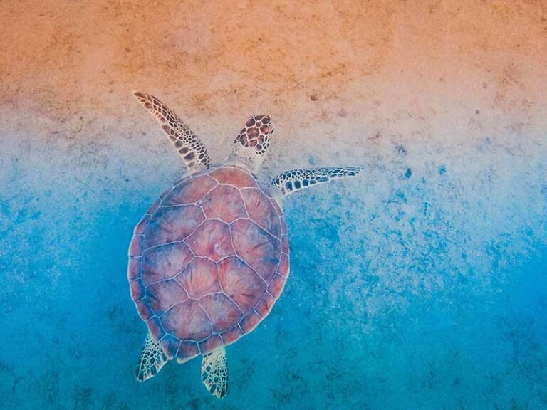 Slow Things Down