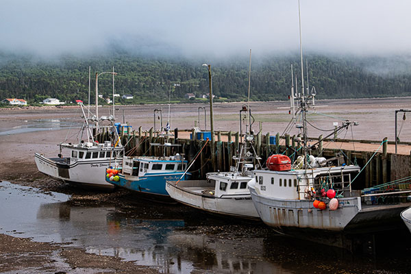 Boats on a dried up bay waiting for the tide to come in